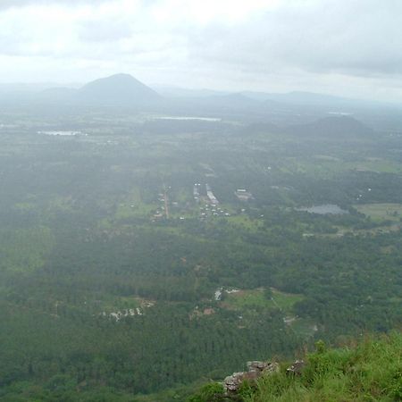 Raintree Villa Dambulla Exterior photo