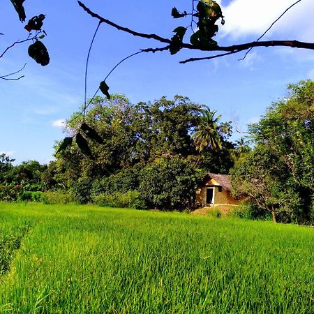 Raintree Villa Dambulla Exterior photo