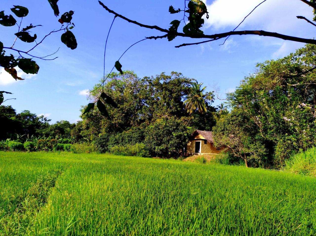 Raintree Villa Dambulla Exterior photo