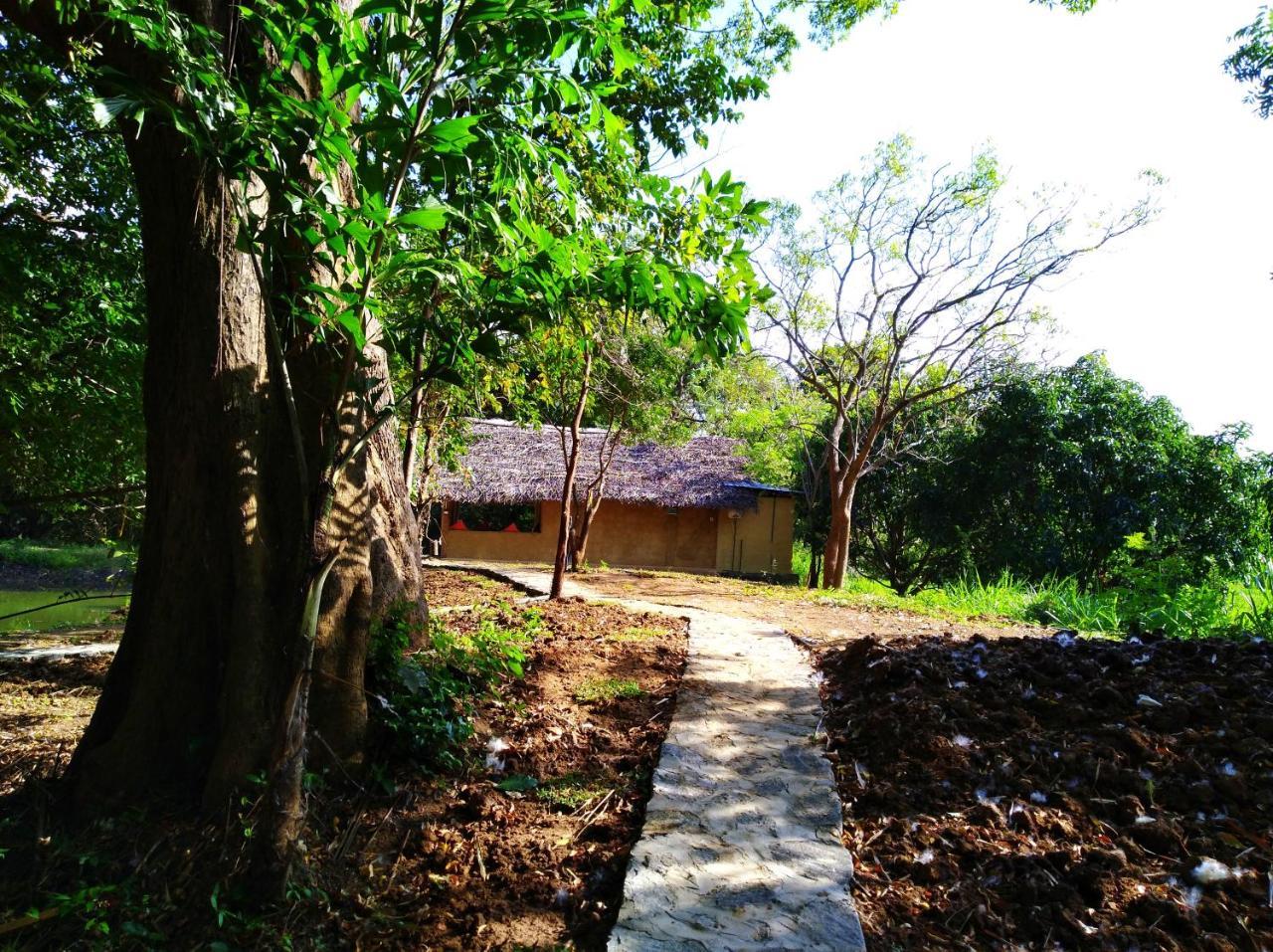 Raintree Villa Dambulla Exterior photo