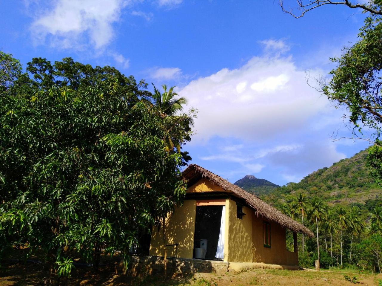 Raintree Villa Dambulla Exterior photo