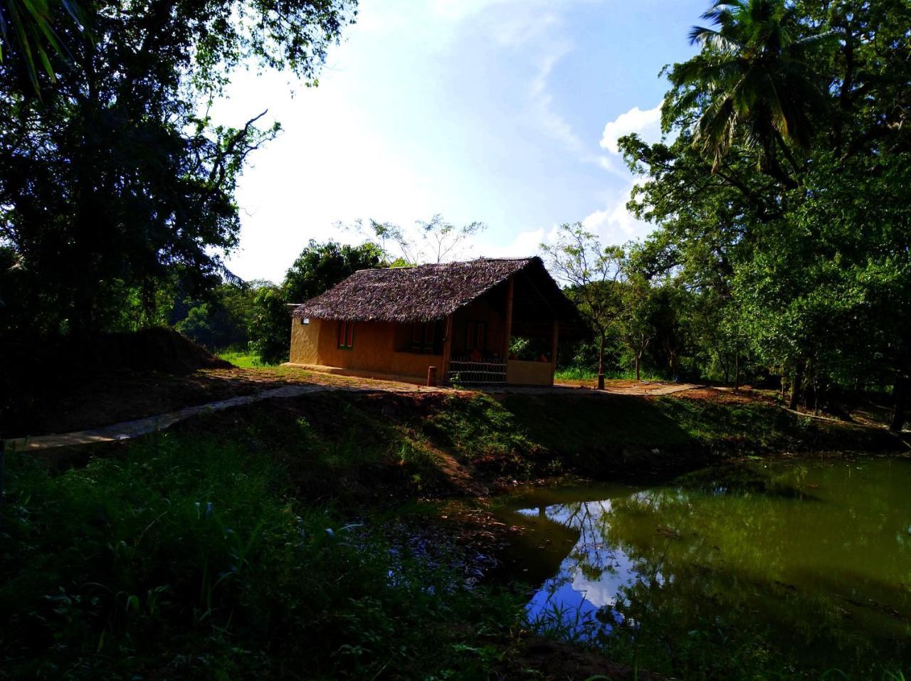 Raintree Villa Dambulla Exterior photo